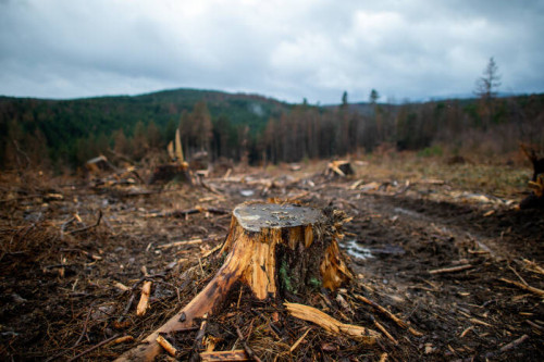 crawl 20220822085620869