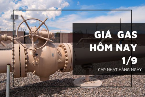gia gas hom nay 1 9 20220901104048482