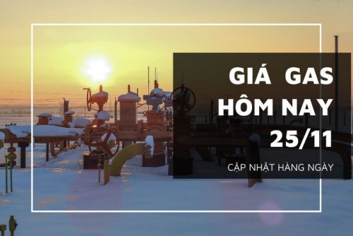 gia gas hom nay 25 11 20221125093559868