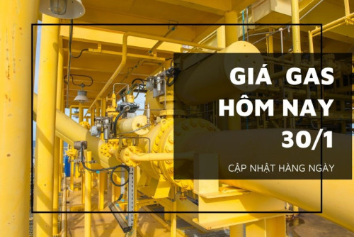 gia gas hom nay 30 1 20230130100529477