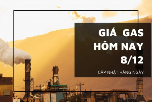 gia gas hom nay 8 12 20221208100734130