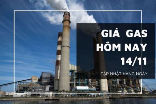 gia heo hoi hom nay 13 11 ava 20221114101436450