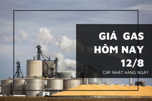 gia gas hom nay 12 8 20220812105704569