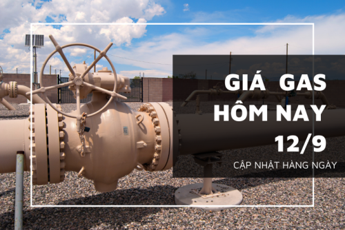 gia gas hom nay 12 9 20220912104319873