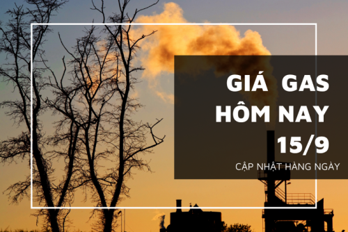 gia gas hom nay 15 9 20220915105042737