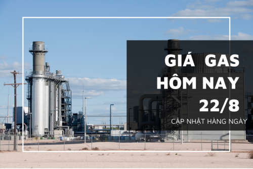 gia gas hom nay 22 8 20220822101904175
