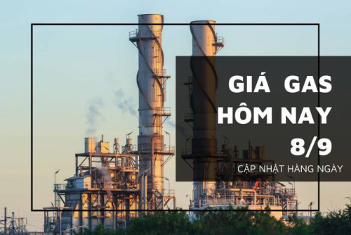 gia gas hom nay 8 9 2022090810200490