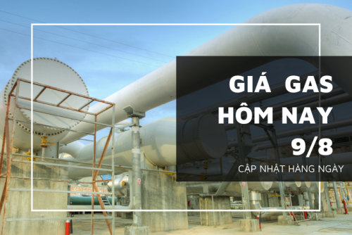 gia gas hom nay 9 8 20220809110341766